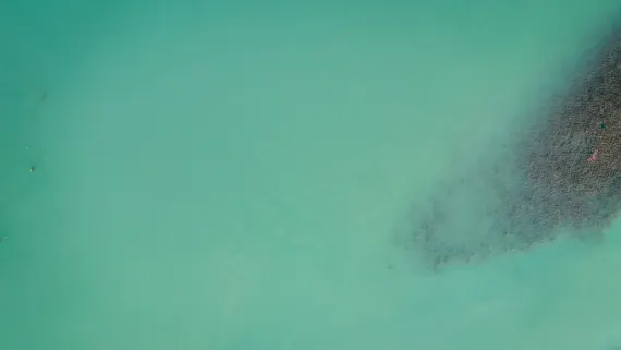 Kazino Lucky Luke Atbalsts